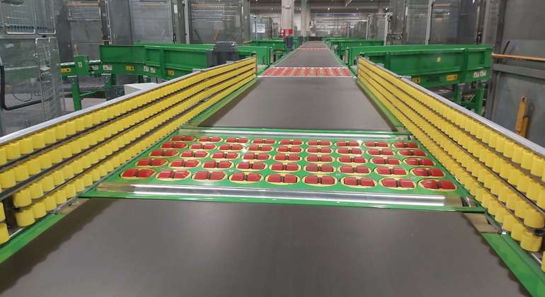 Belt Conveyor (9)